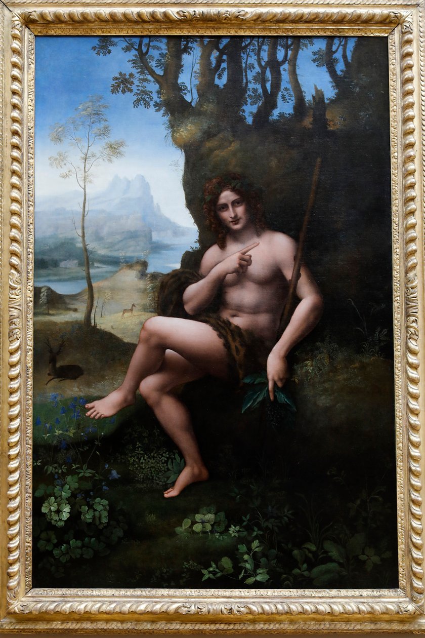 Louvre museum, Parijs, Frankrijk. Leonardo da Vinci