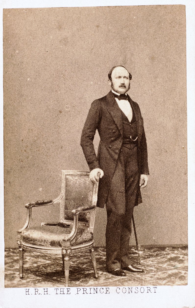 Prins Albert, gemaal van koningin Victoria, ca. 1860 door Frederick (attr. to) Barnard