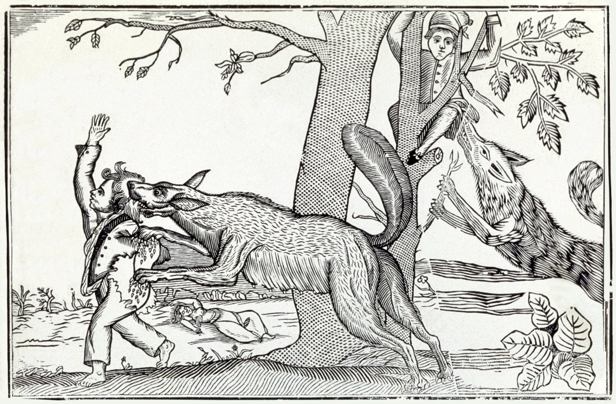 De wolf circa 1820 door . .
