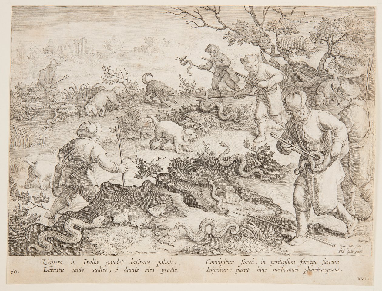 Slangen Jagen door after Jan van der Straet, called Stradanus