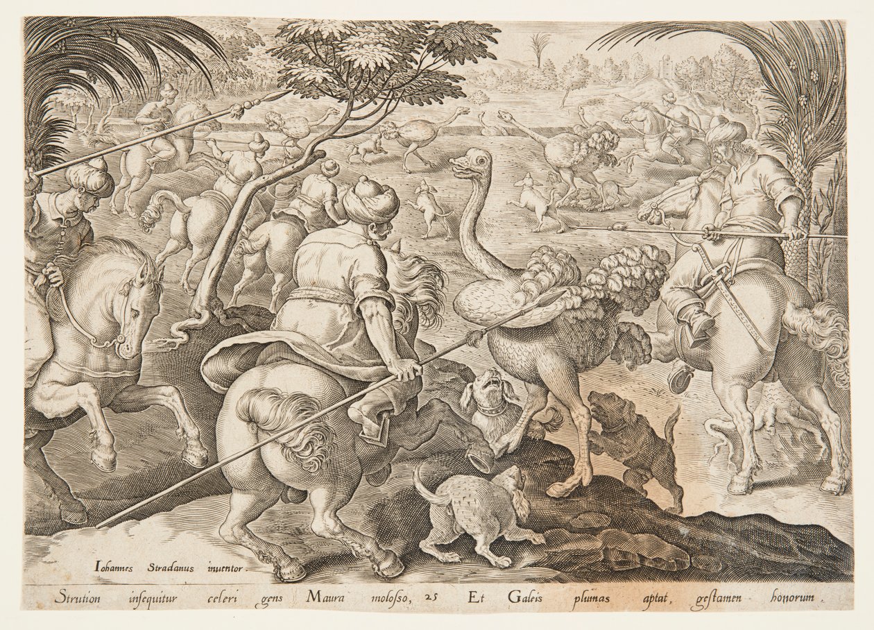 De Struisvogeljacht door after Jan van der Straet, called Stradanus