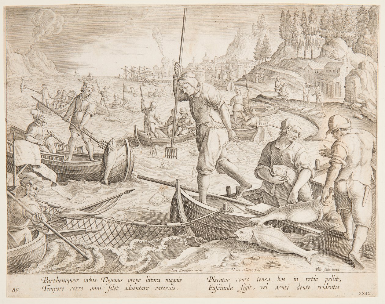 Tonijnvissen door after Jan van der Straet, called Stradanus