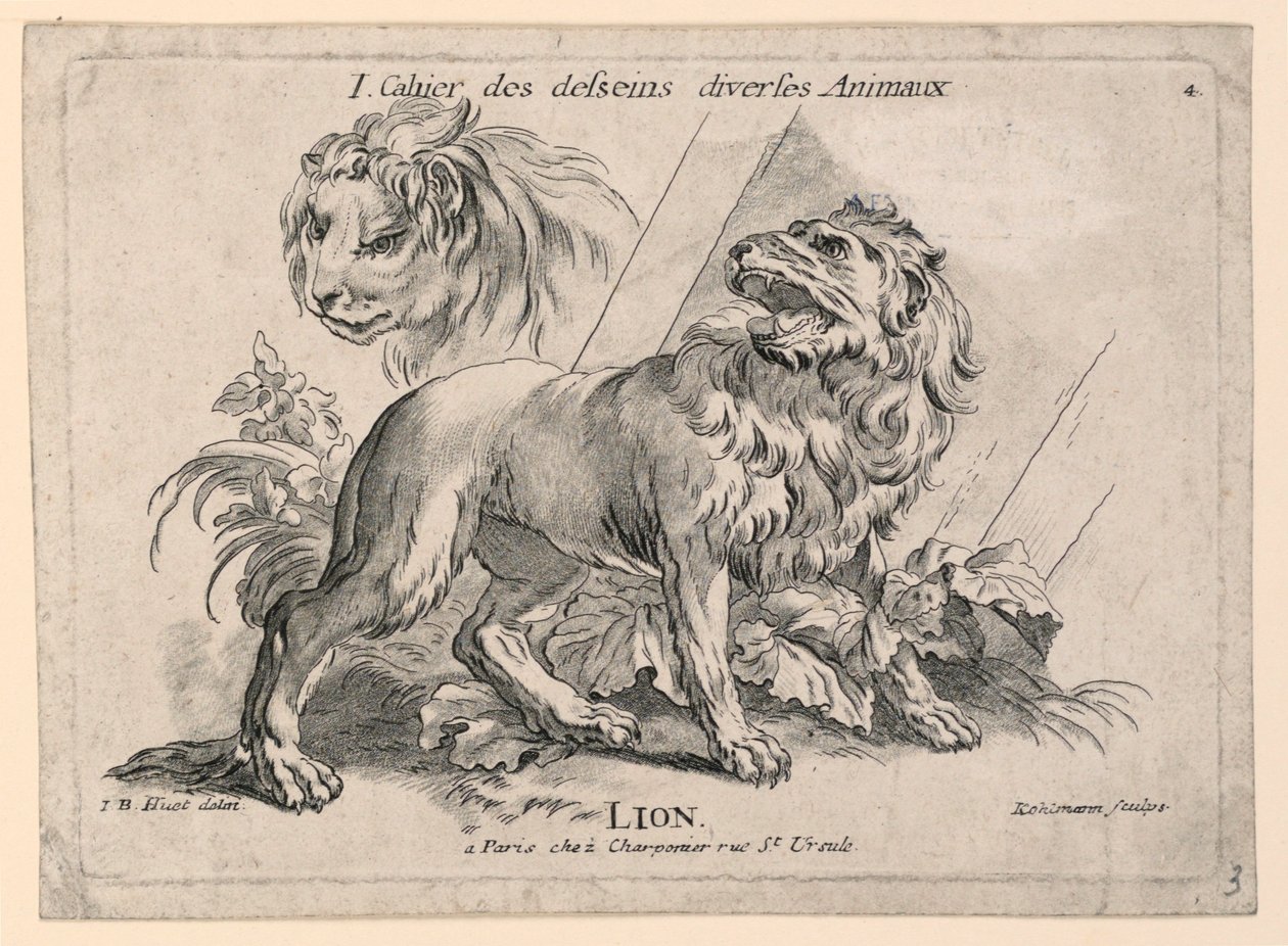 Studies van Leeuwen, Plaat 4 uit "Cahier des Desseins Diverses Animeaux" door after Jean Baptiste Huet