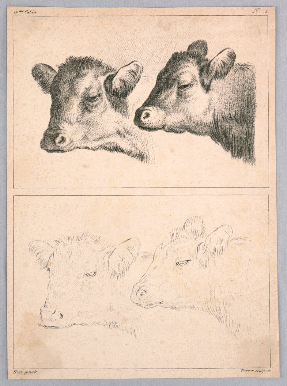 Twee Koeienkoppen, Plaat nr. 2 uit de 12me Cahier d