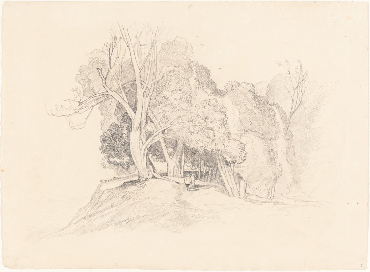 Landschap met Bomen door after John Sell Cotman British 19th Century
