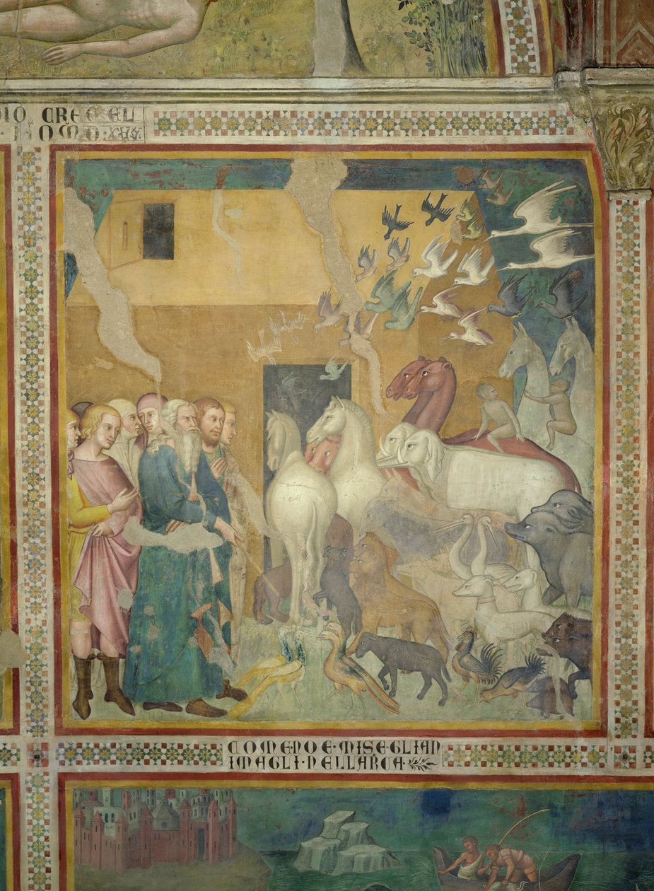 Noach leidt de dieren naar de ark, 1356-67 door also Manfredi de Battilori Bartolo di Fredi