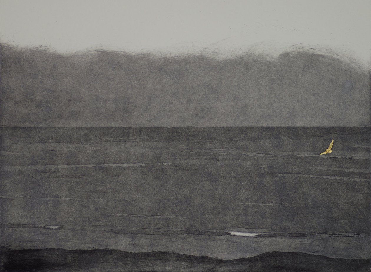Stille vlucht door angus hampel