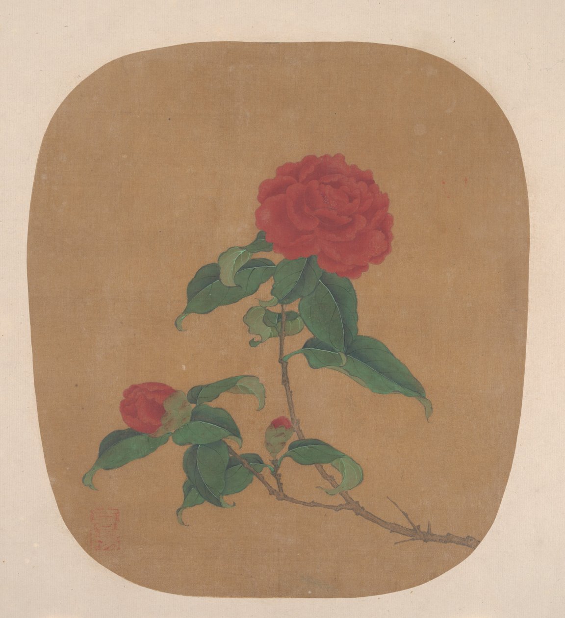 Camelia bloemen door anonymous 