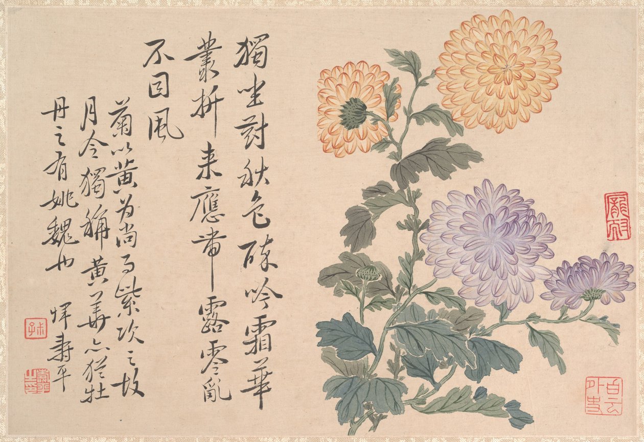 Chrysanten door anonymous 