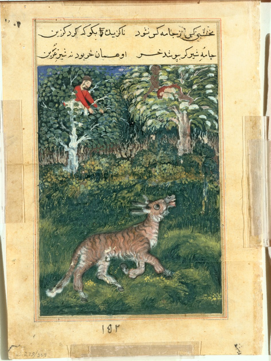 De ezel, in een tijgervel, onthult zijn identiteit door luid te balken, uit een Tuti-nama (Verhalen van een Papegaai): Eenendertigste Nacht door attributed to Basavana