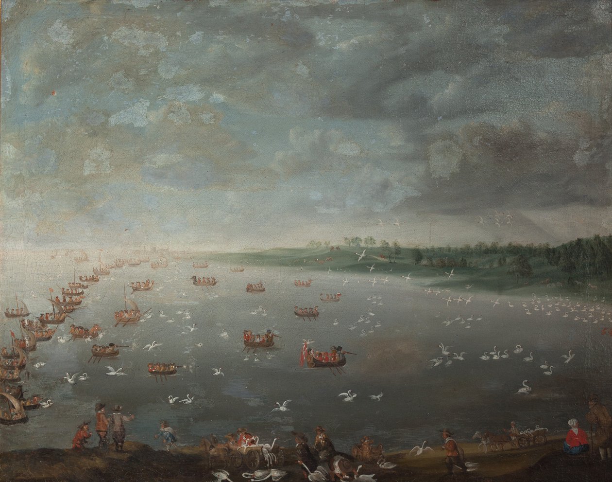 Zwanenjacht door de Coninck