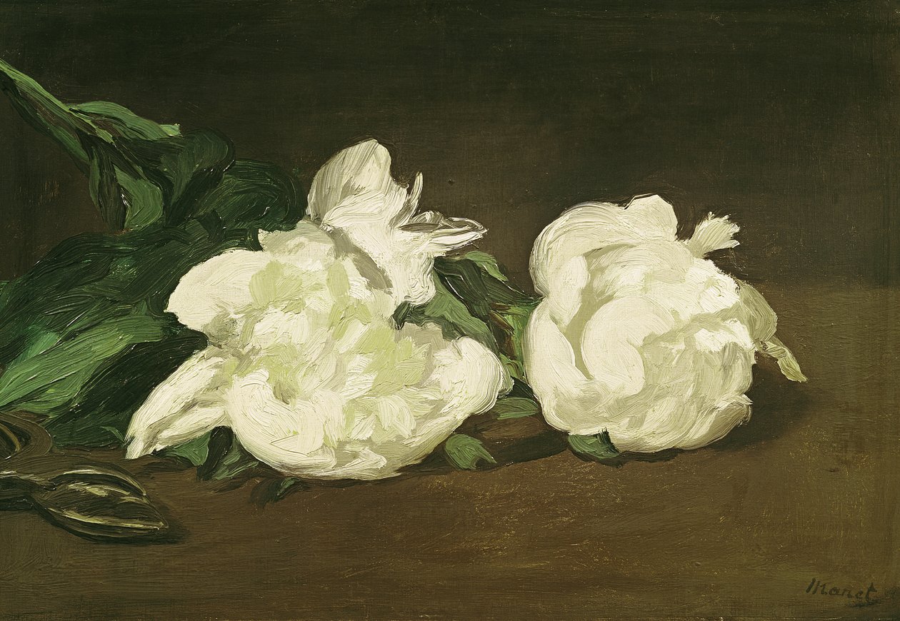 Tak van witte pioenen en snoeischaar, 1864 door Édouard Manet