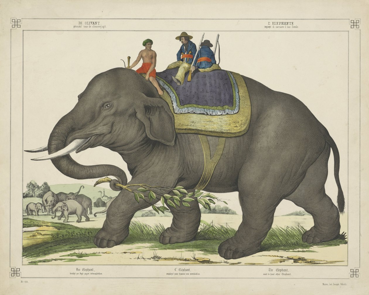 De olifant / gebruikt voor de olifantenjacht door firma Joseph Scholz