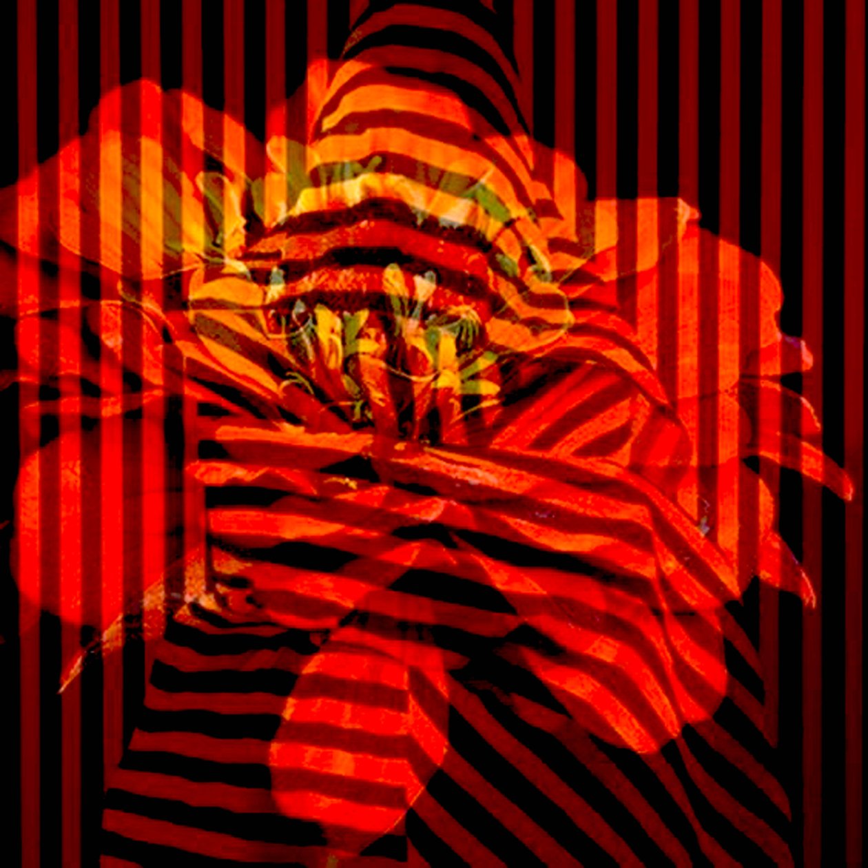 Bloemencollage, 2017 (fotografie) door linda arthurs