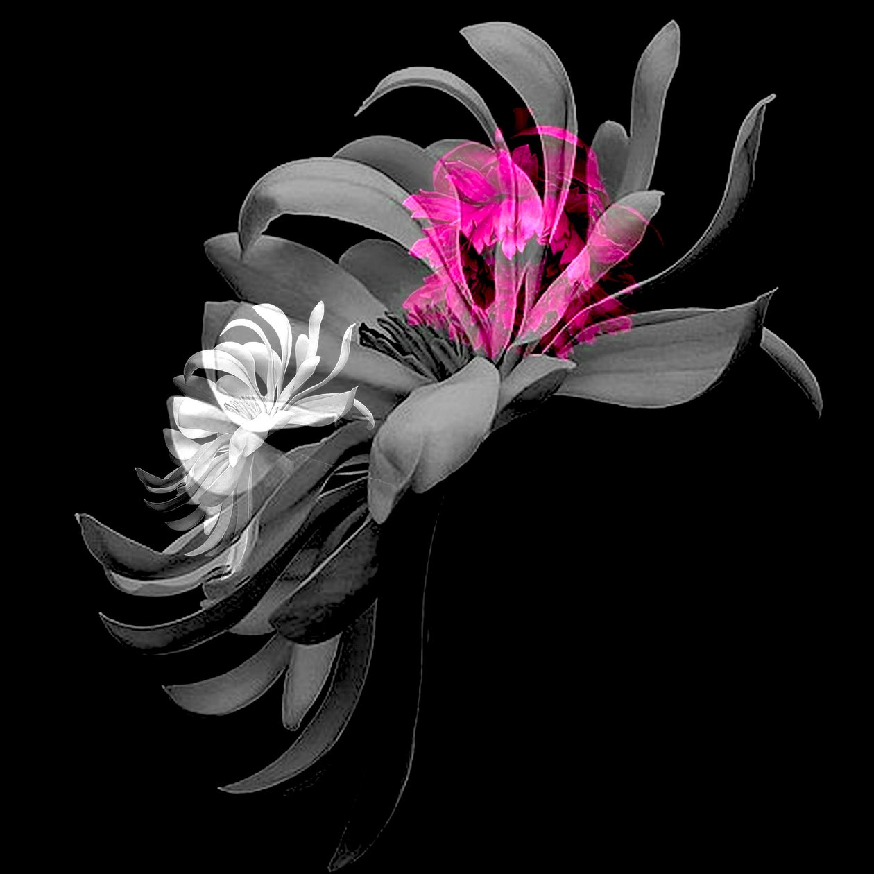 SPRING FLOWER COLLAGE, 2018 (gemengde techniek) door linda arthurs