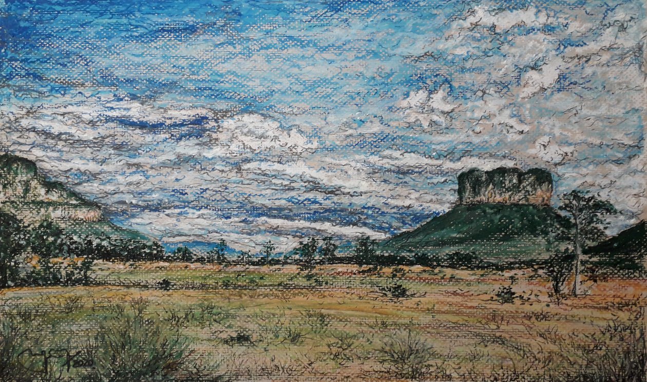 De Grote Savanne Venezuela door miguelmendez_art.ve