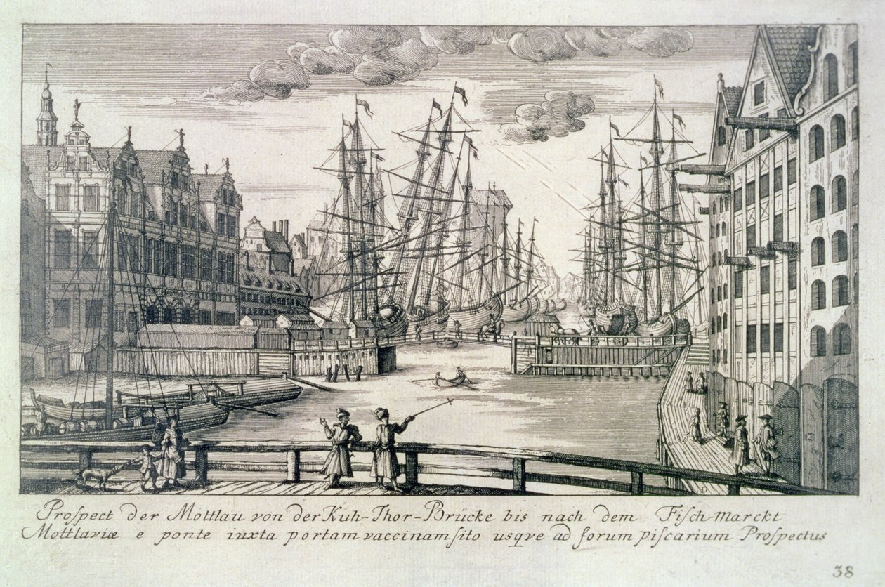 Uitzicht op de Moltawa vanaf een Krow-brug, uit 