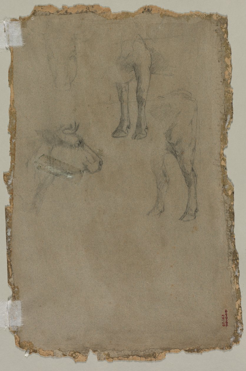 Studies van een Stier (verso) door possibly by Johan Barthold Jongkind