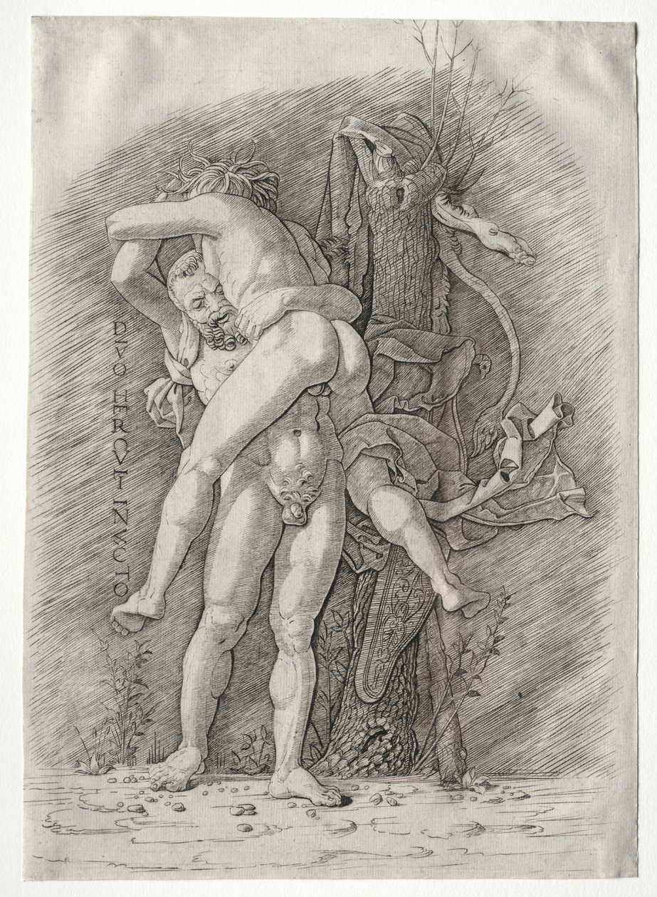 Hercules en Antaeus door school of Andrea Mantegna
