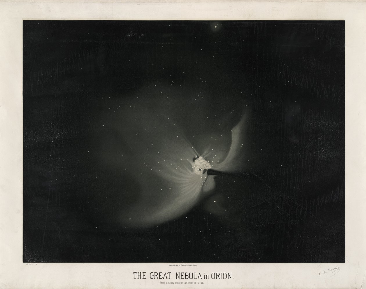 De grote nevel in Orion. Uit een studie gemaakt in de jaren 1875-76. (Plaat XV van The Trouvelot Astronomical Drawings 1881-1882) door Étienne Léopold Trouvelot
