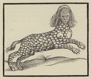 Vierpotig wezen met een lichaam bedekt met schubben (gravure)