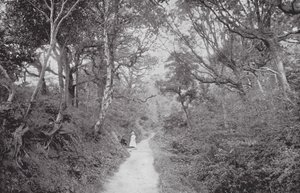 Fairlight Glen door (after) English photographer