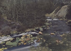 Gorges de la Cere bij Laval de Cere door (after) French Photographer