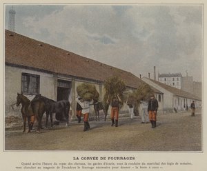 De Voederdienst