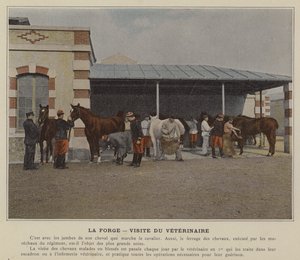 De Smidse, Bezoek van de Dierenarts door (after) French Photographer