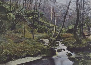 Vaux de Cernay, De Watervallen door (after) French Photographer