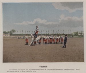 Voltige