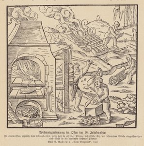 Extractie van bismut in een oven door (after) German School