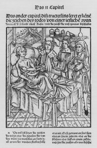 Het boek van Cirurgia door Hieronymus Brunschwig (litho)