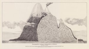 Vegetatieregio
