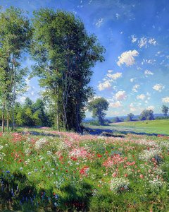Prachtig uitzicht op een zonnige dag, natuur en bomen, Muurdecoratie te koop door F. Abderrahim