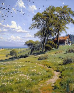 Landschap op een zonnige lentedag, wanddecor  canvas prints