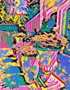 Zomerdroom.