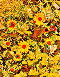 Zonnebloemen voor Van Gogh. door Margareta Uliarte