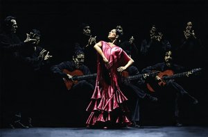 Trotse Flamencodanser
