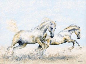 Arabische ridders