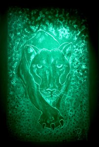 De panter - groen door RosaLi