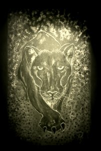 De panter - grijs door RosaLi