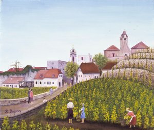 Druivenoogst in Dürnstein