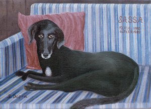 Onze hond Sassa