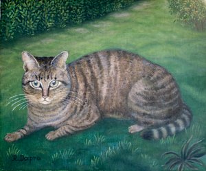 De kat Julia