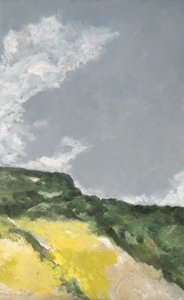 Felder mit gelben Blumen 2 von M. Vet