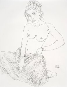 Vaste blik
