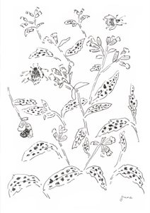 Onderzoek naar hommels en wilde bloemen door june art