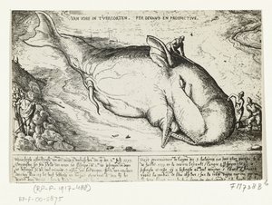 Prent van de aangespoelde walvis bij Antwerpen, 2 juli 1577
