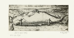 Prent van de aangespoelde walvis bij Antwerpen, 2 juli 1577